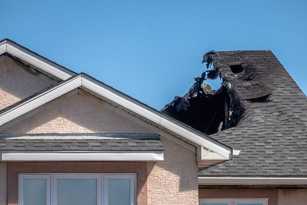 Top rated local Odor Removal specialists in West Friendship, MD